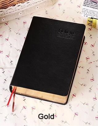 Vintage Journal/Notebook (480pages)